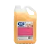 Sabonete Líquido Perfumado Floral 5 Litros